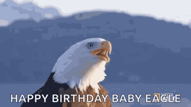 a bald eagle says happy birthday baby eagle in front of mountains