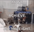 Baby Weight Lifting GIF