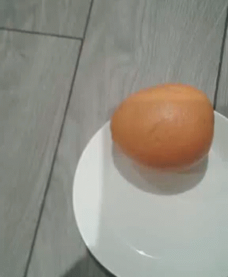 Egg What GIF - Egg What Are GIFs