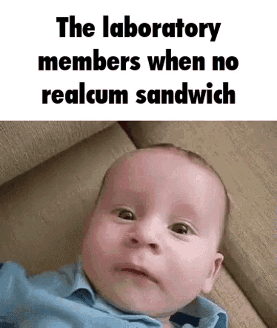 a baby is laying on a couch with the words `` the laboratory members when no realcum sandwich '' written above it .