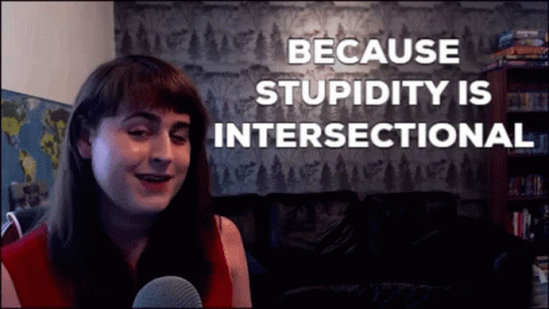 Rose Of Dawn Intersectional GIF - Rose Of Dawn Intersectional Because Stupidity GIFs