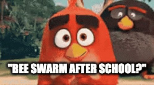 Angry Birds Bee Swarm GIF - Angry Birds Bee Swarm School GIFs