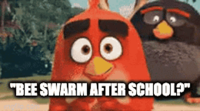 two angry birds are standing next to each other and one of them says " bee swarm after school " .