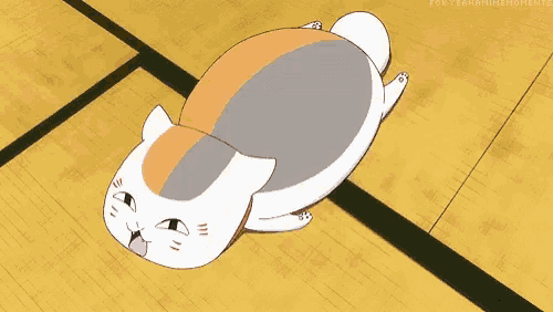 a white cat is laying on its back on a basketball court .