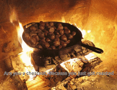 Are You A Chestnut Because You Just Got Roasted GIF - Are You A Chestnut Because You Just Got Roasted GIFs