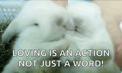 Bunny Love You GIF - Bunny Love You Loving Is An Action Not A Word GIFs