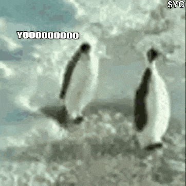 a couple of penguins standing on top of a snow covered field with a caption that says y00000000