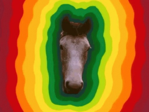 Fatherted Horse GIF - Fatherted Horse My GIFs