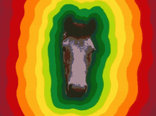 a horse 's head is surrounded by a colorful rainbow