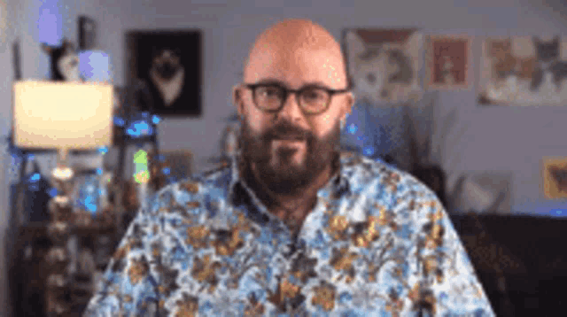 a bald man with a beard wearing glasses and a floral shirt .