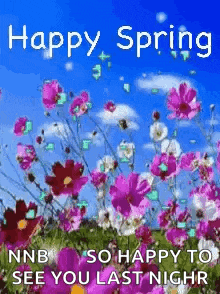 a picture of pink and white flowers with the words `` happy spring nnb so happy to see you last night '' .