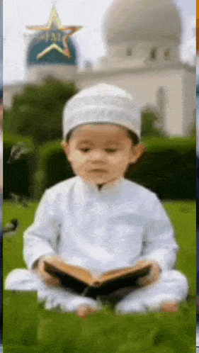 a little boy is sitting in the grass reading a book with a star in the background