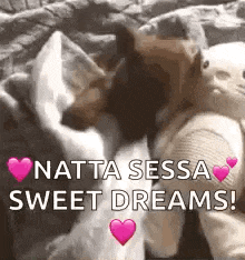 a couple of dogs laying next to each other on a bed with hearts and the words `` natta sessa sweet dreams '' .
