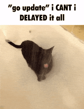 a picture of a cat in a bathtub with a caption that says " go update i cant i delayed it all "