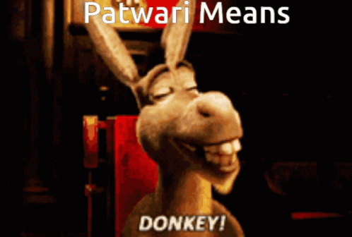 Donkey Patwari Means GIF - Donkey Patwari Means GIFs