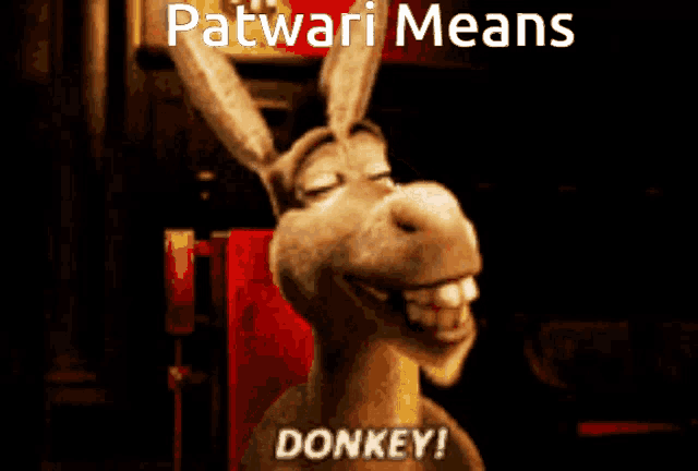 a donkey with the words patwari means donkey on the bottom