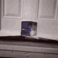 a white door with a small hole in it that looks like a cat door .