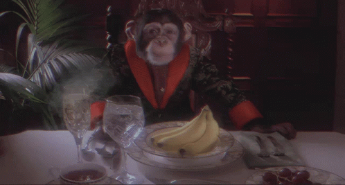 Monkey Monkey Date GIF - Monkey Monkey Date Fine Dining GIFs