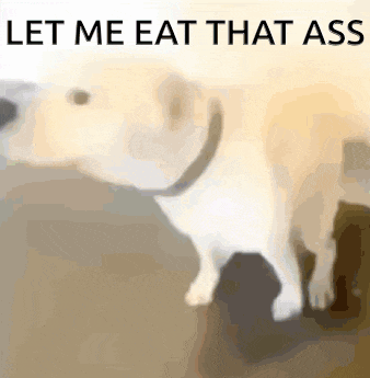 a blurred image of a dog with the words `` let me eat that ass '' written above it .