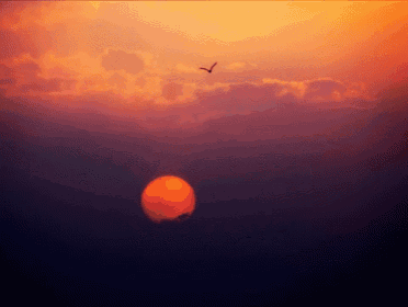You'Re The Only One💕 GIF - Sunset Bird Secrets GIFs