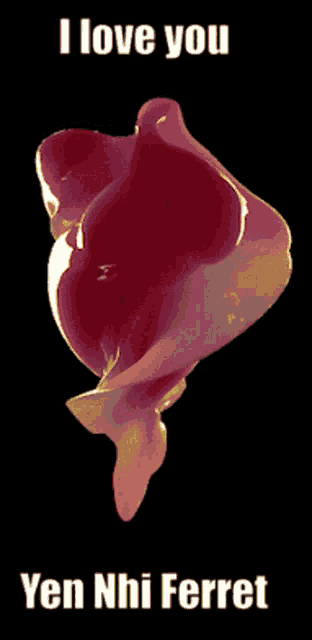 a picture of a heart with the words i love you yen nhi ferret