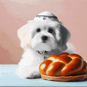 a small white dog wearing a hat next to a basket of bread