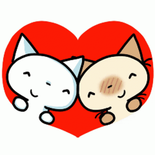 Love Cat GIF - Love Cat Cute GIFs