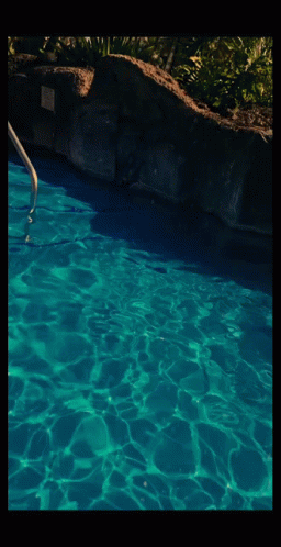 Dunk Diving In GIF - Dunk Diving In Hawaii GIFs