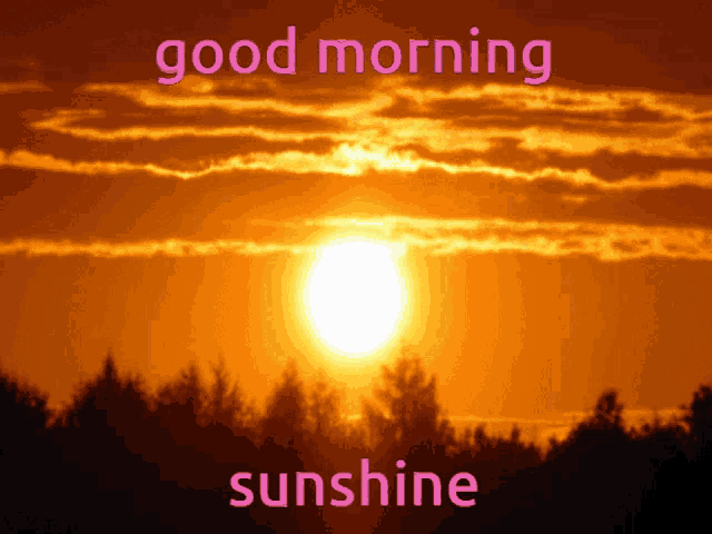 a sunset with the words " good morning sunshine " above it