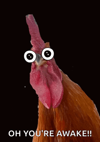 a picture of a rooster with googly eyes and the words oh you 're awake