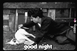 Hahaha Good Night GIF - Hahaha Good Night Charlie Chaplin GIFs