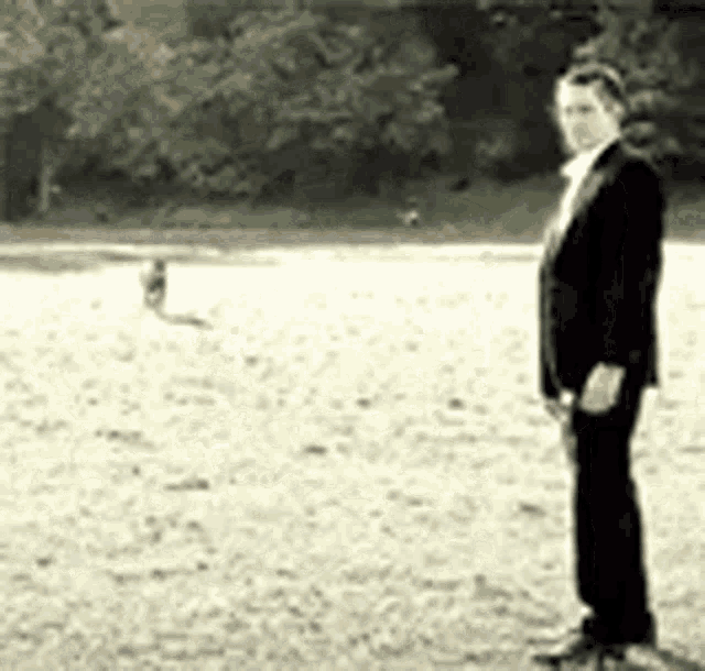 a man in a suit is standing in a field with a dog in the background .