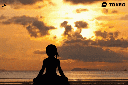 a silhouette of a person sitting on a beach with a tokeo logo in the corner