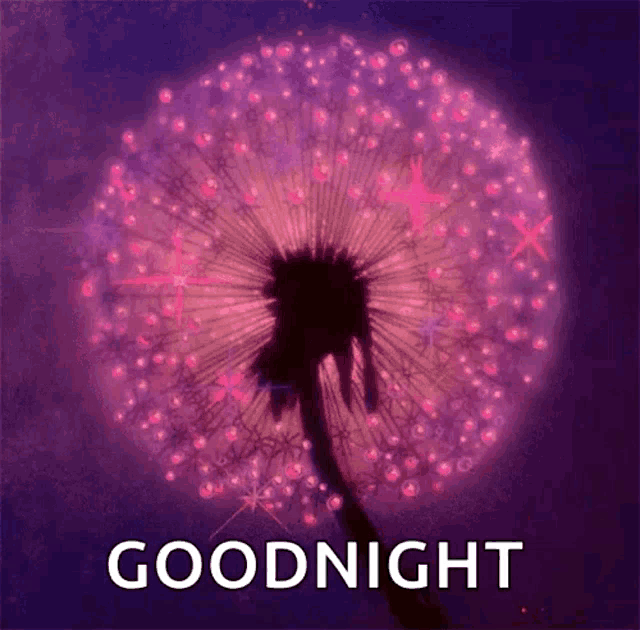 a dandelion with a purple background and the words goodnight on it