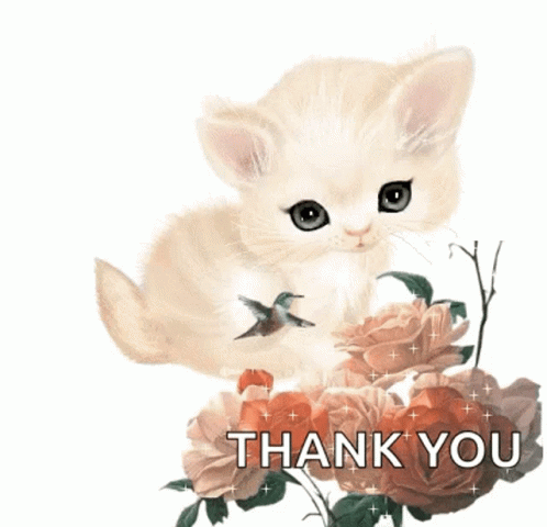 Thank You Sparkle GIF - Thank You Sparkle Kitty GIFs