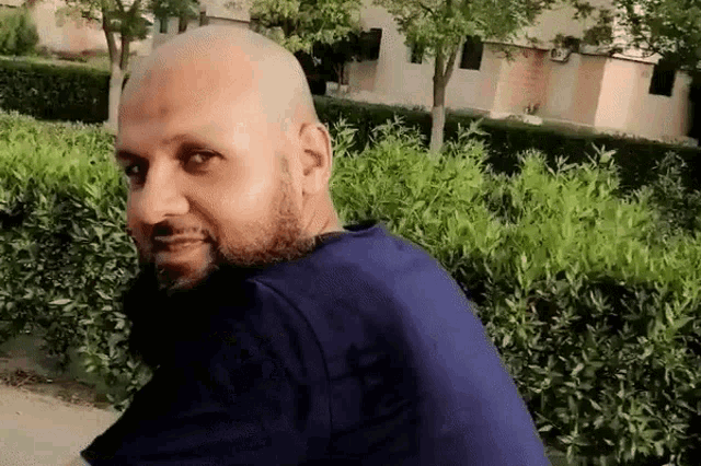 a bald man with a beard wearing a blue shirt stands in front of a bush