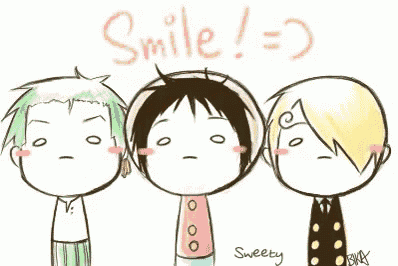 One Piece Expressions GIF - One Piece Expressions Smile GIFs