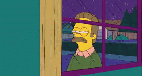 Ned Flanders GIF - Ned Flanders Fry GIFs