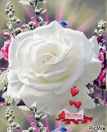 I Love You Rose GIF - I Love You Rose White GIFs