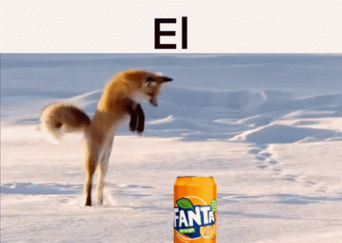 El El Fox GIF - El El Fox Fanta Fox GIFs