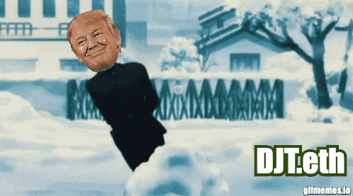 a picture of donald trump in the snow with the url djtech at the bottom