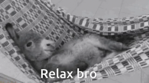 Relax Bro GIF - Relax Bro GIFs