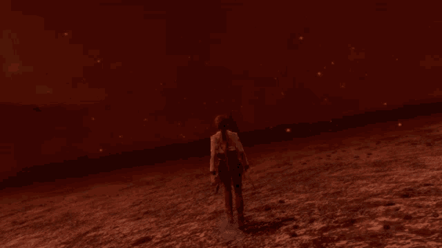 a person standing in a field with a red sky behind them