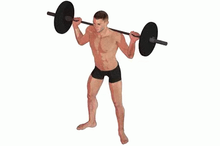 スクワット エクササイズ 運動 健康 トレーニング 筋トレ GIF - Squat Barbell Exercise GIFs