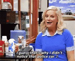 a woman says i guess that 's why i did n't notice that police car