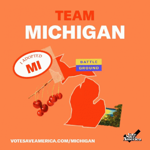 Team Michigan Crooked Media GIF - Team Michigan Crooked Media Adopt A State GIFs