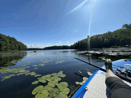 a person on a paddle board with a flower on their foot
