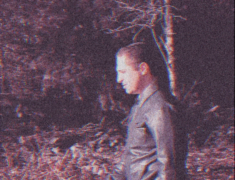 a man in a suit is standing in the woods with trees in the background .