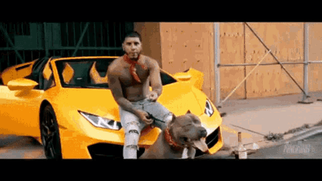 a shirtless man is sitting on the back of a yellow car with his dog .