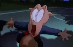 Looney Tunes Terrified GIF